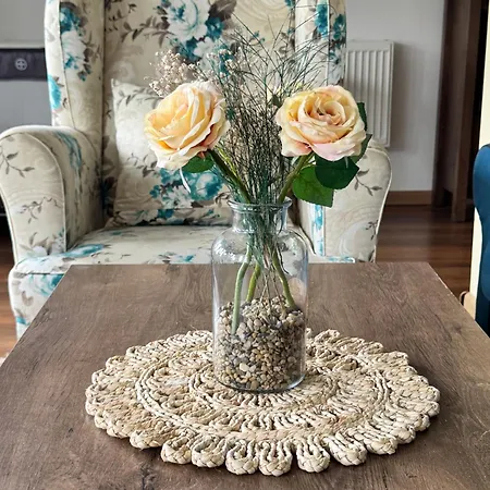 Apartman Old Square Lovecs